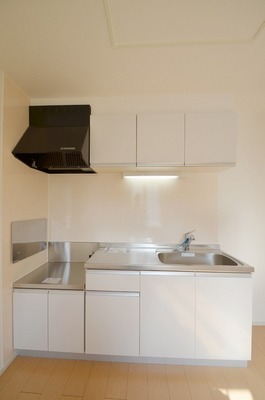 Kitchen. Spread of the kitchen two-burner stove is put!