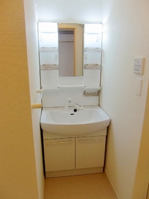 Washroom. Convenient shampoo wash basin (same construction type)