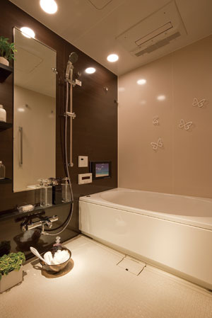 Bathing-wash room. Bathroom