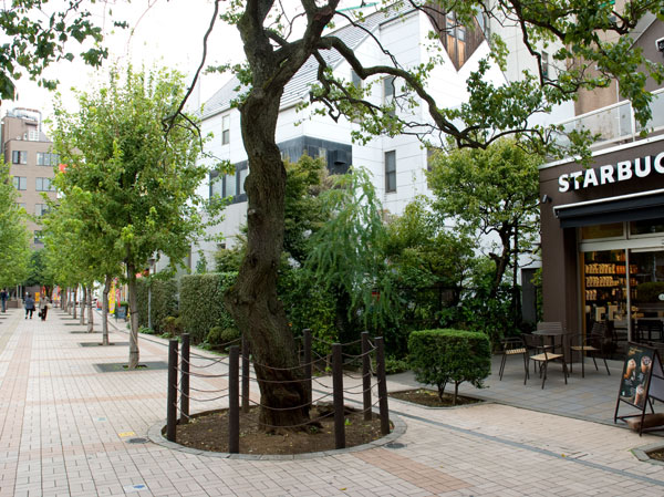 Surrounding environment. Shiki Station near the city average (4-minute walk ・ About 280m)