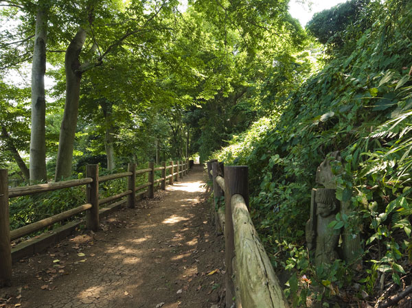 Surrounding environment. The ABCs of hydrophilic park Sunbeams road (about 450m / 6-minute walk)