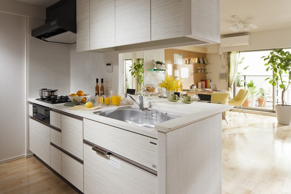 kitchen / Spacious kitchen counter type