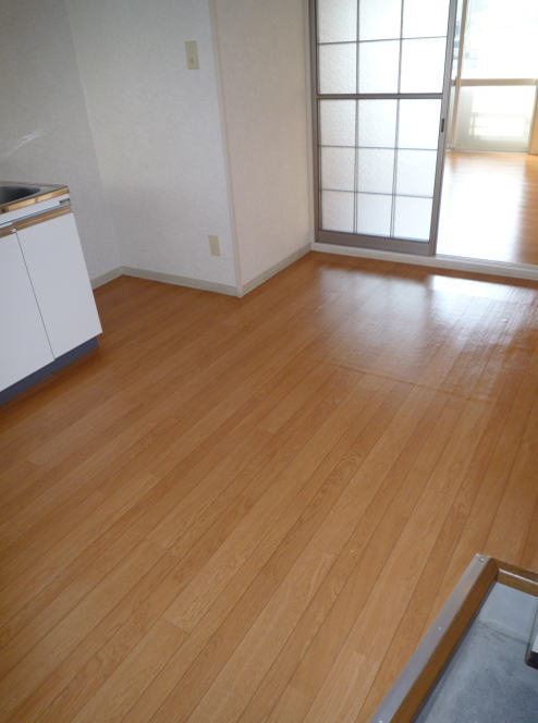 Living and room. Living