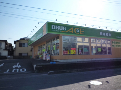 Dorakkusutoa. drag ・ Ace 863m until (drugstore)
