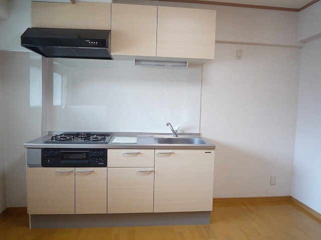 Kitchen. System kitchen