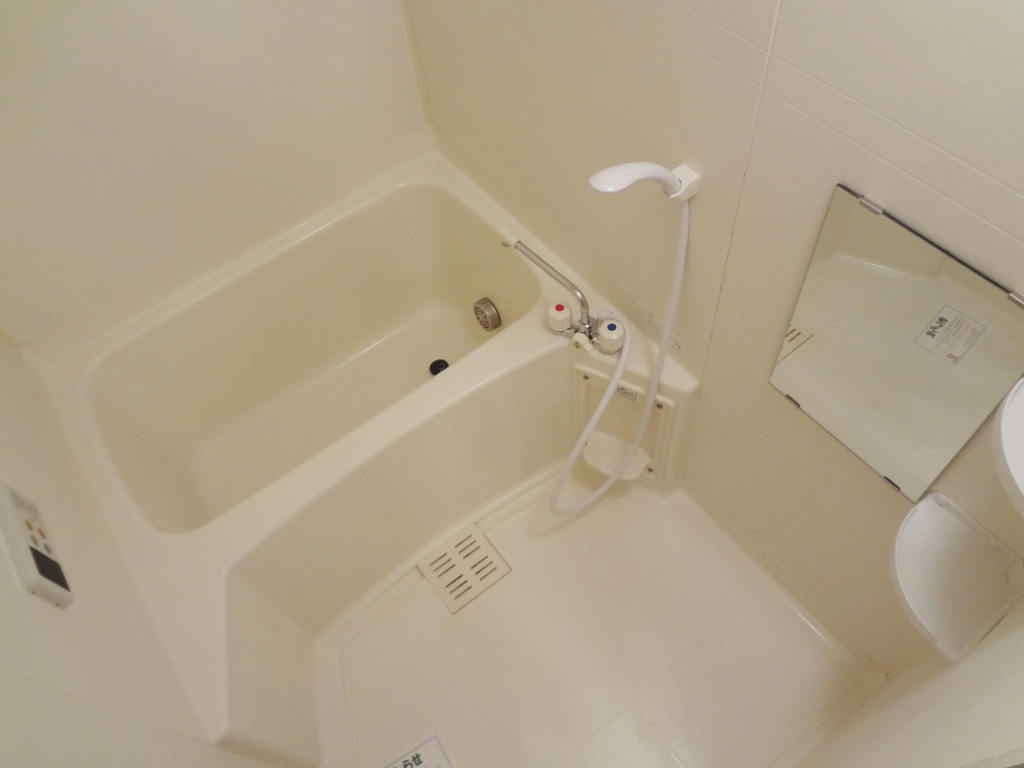 Bath. Reversal type reference photograph