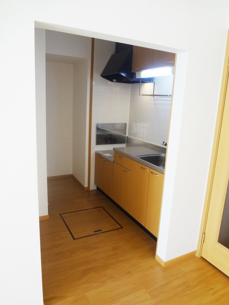 Kitchen. Reversal type reference photograph