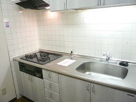Kitchen. 3-burner stove in the kitchen