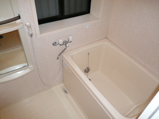 Bath. The same type, Is another of the room. 