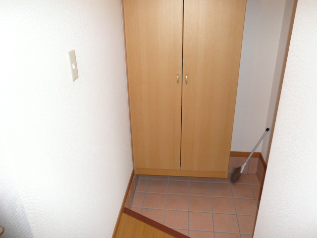 Entrance. The same type, Is another of the room. 