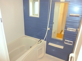 Bath. Bathroom dryer is equipped with additional heating. 