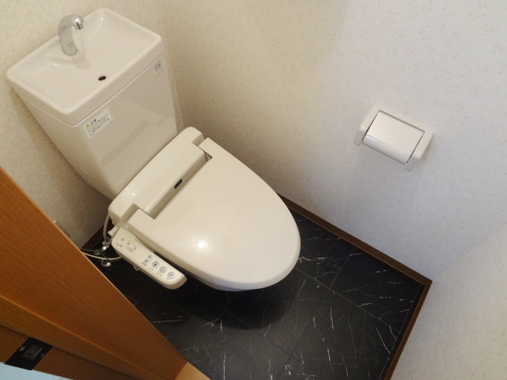 Toilet. Reference photograph
