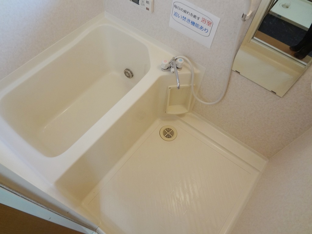 Bath. Reference photograph