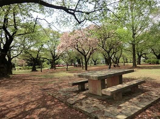 Other Environmental Photo. 510m to Yahata park