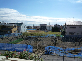 View. The view from the veranda