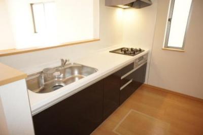 Kitchen. 3-neck gas stove with range hood System kitchen