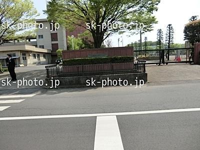 Primary school. Shiraoka Nishi Elementary School 300m to