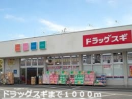 Dorakkusutoa. Drag 1000m until cedar (drugstore)