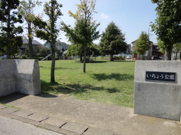 park. 50m ginkgo park to the park