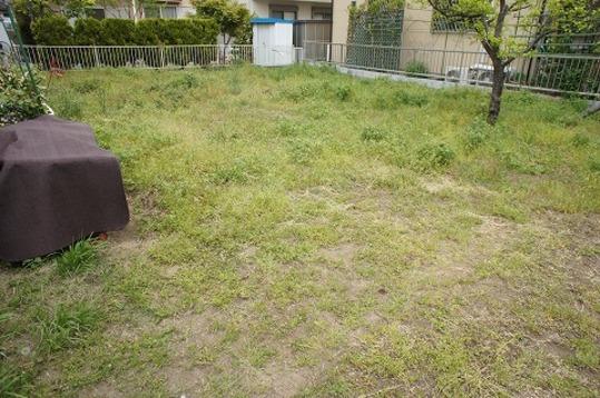 Local land photo. Local Photos