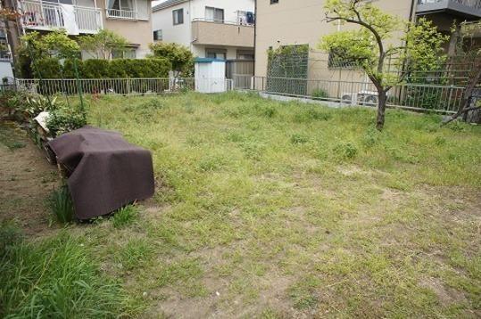 Local land photo. Local Photos