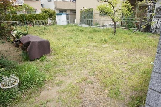 Local land photo. Local Photos