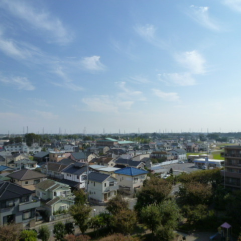 View. View from the balcony