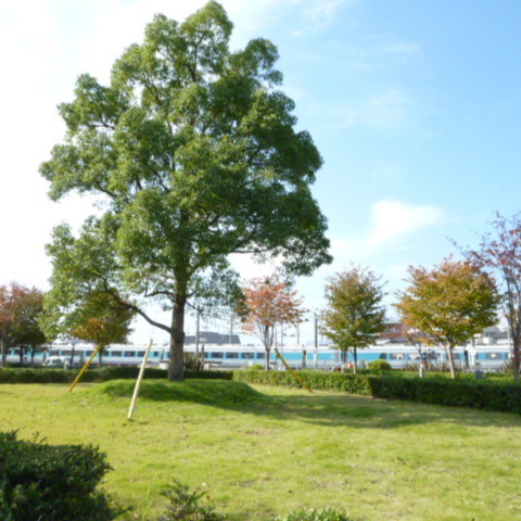 Other. On-site park [Public open space]