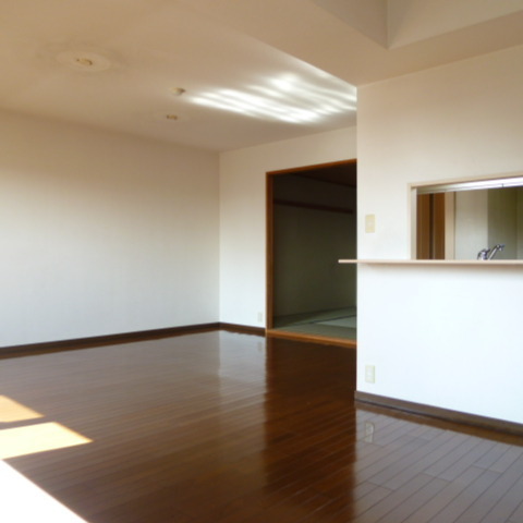 Living and room. Living-dining [About 16.1 Pledge]