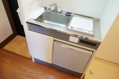 Kitchen. Refrigerator with mini-kitchen