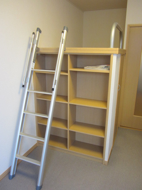 Other room space. Under the bed space is the storage space