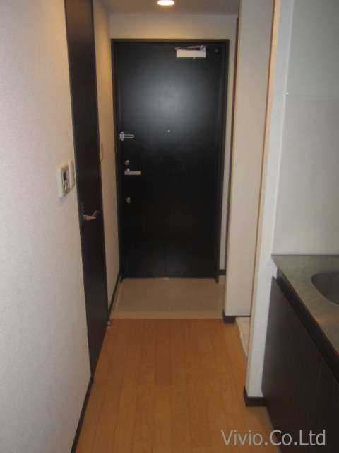 Entrance. Security is also safe at the door of the double lock