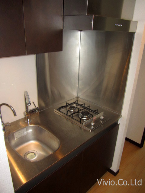 Kitchen. Stylish design of the kitchen