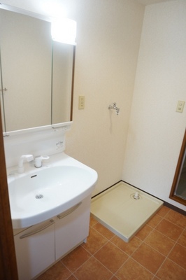 Washroom. Shampoo Dresser & Indoor Laundry Area