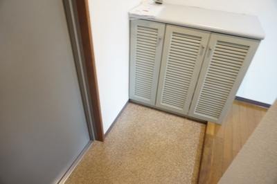 Entrance. There cupboard