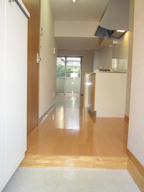 Entrance. State of the entrance space