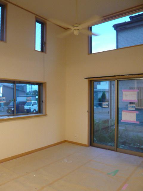 Other. Living atrium construction cases