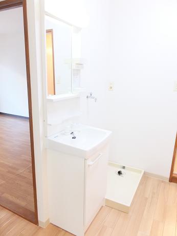 Washroom. Washbasin new