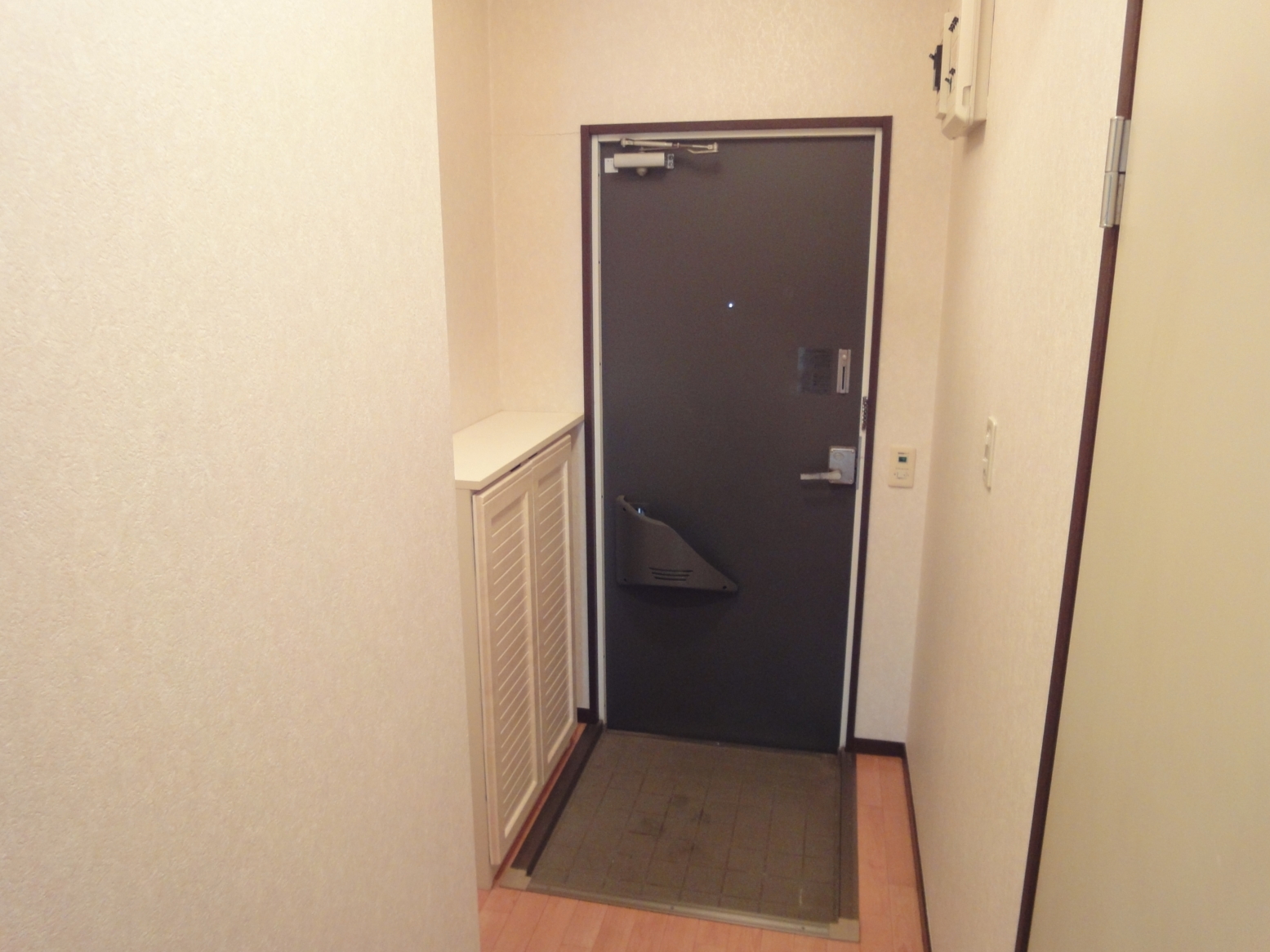 Entrance. Entrance with a cupboard