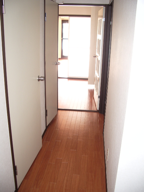 Other room space. Corridor as seen from the front door