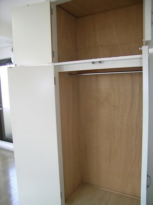 Other. Because there is a hanger pipe, To put away the clothes you do not want to put a wrinkle