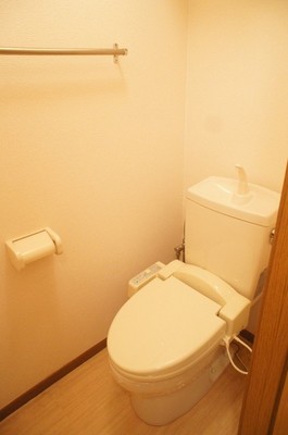 Toilet. Warm toilet seat