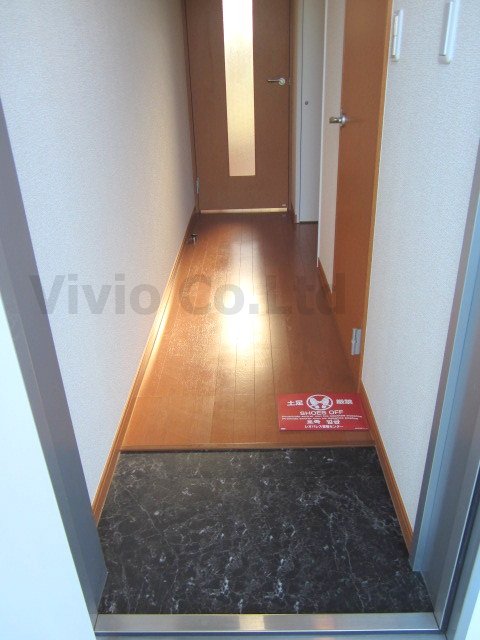 Entrance. State of the entrance space