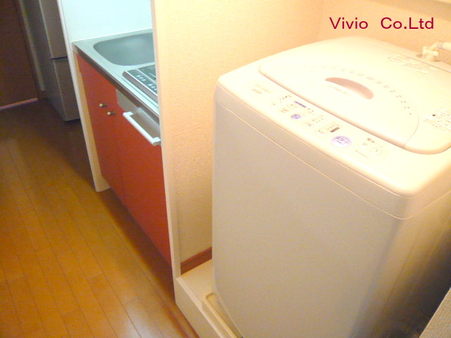 Other. Equipped with fully automatic washing machine.