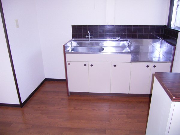 Kitchen. Two-burner gas stove installation Allowed