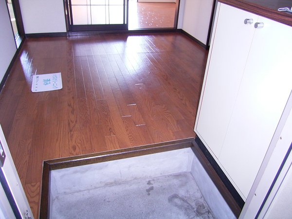 Living and room. Entrance with a cupboard