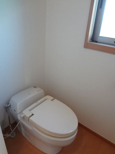 Toilet. Fashionable is a simple toilet.