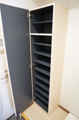 Entrance. Shoes will go firmly. 