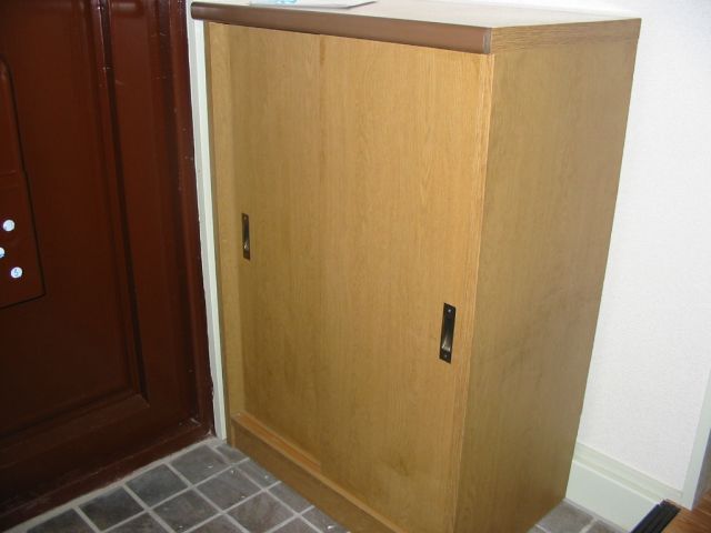 Entrance. You can use clean the entrance because there is a shoebox