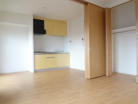 Other. DK and Western You can also use as 1LDK Since this is an open-type sliding door